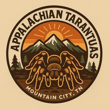 Appalachian Tarantulas
